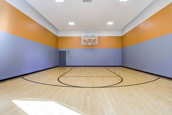 a basketball court with a basketball hoop
